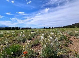 189 Boulder Rd, Hartsel, CO 80449