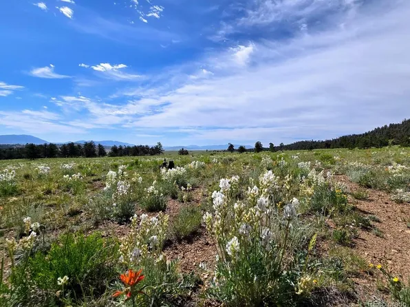 189 Boulder Road, Hartsel, CO 80449