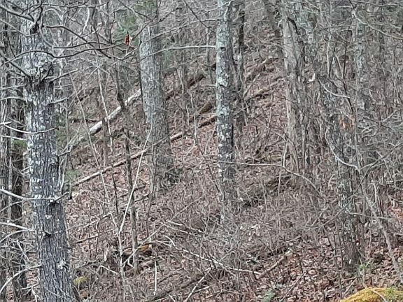 5th image of 834 Tanasi Trl #1