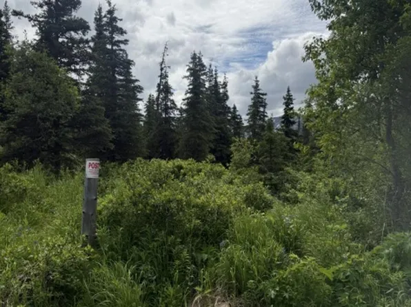 Mile 6.7 Hiland Rd, Eagle River, AK 99577