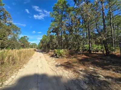 5299 N Smokey Mountain Point, Crystal River, FL, 34428