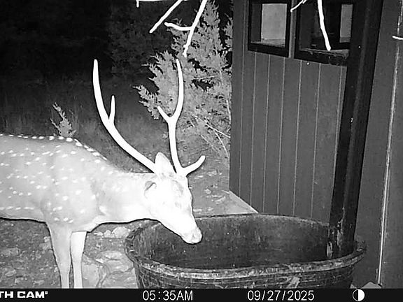5th image of TBD sd 74100