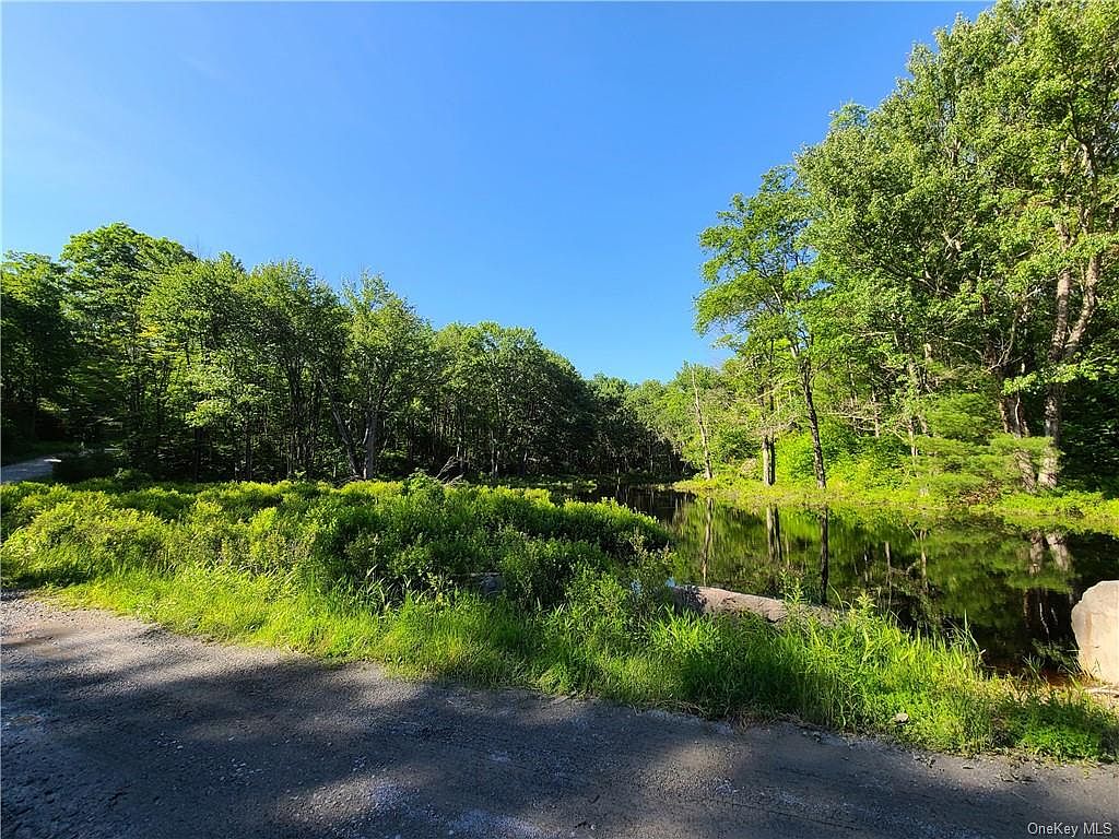** Chapin Trail, Bethel, NY 12720 Zillow