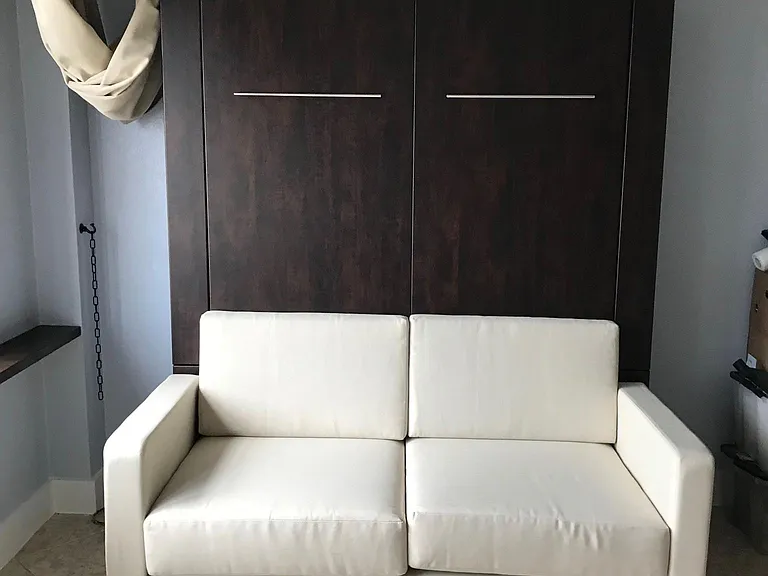 Murphy Bed & couch