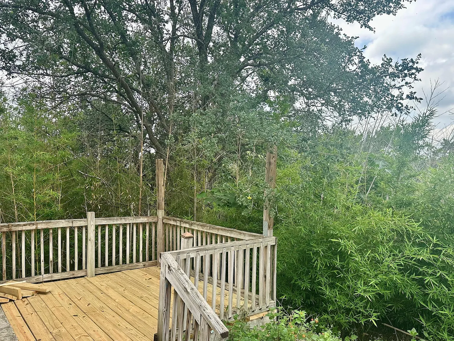 2 bed, 1.0 bath, 880 sqft, $1,350 — Photo 2