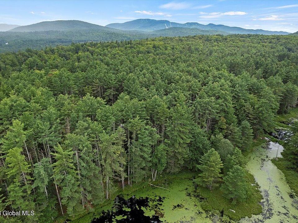 L21 Antler Lake Rd, Wevertown, NY 12886 MLS 202323049 Zillow