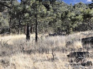 1149 Arapahoe Dr, Florissant, CO 80816