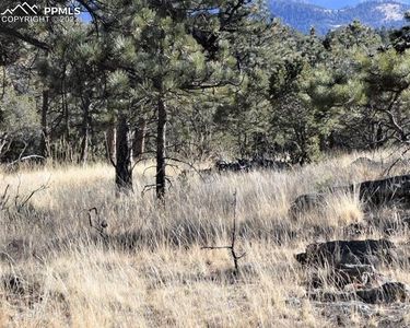 1149 Arapahoe Dr, Florissant, CO, 80816