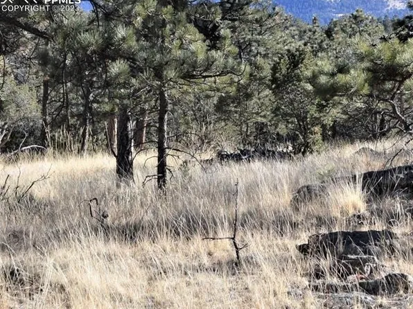 1149 Arapahoe Dr, Florissant, CO 80816