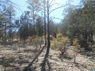 LOT 2a Highway 15 Hls, Mimbres, NM, 88049