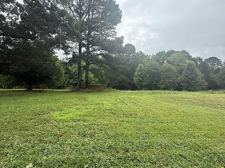 337 County Road 555 — Photo 5