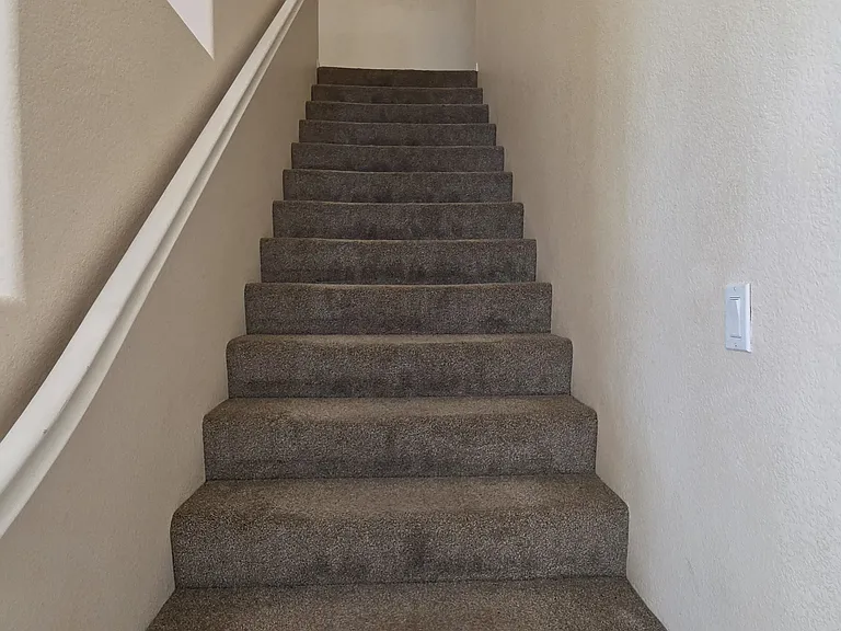 26232 Palm Tree Ln — Photo 11