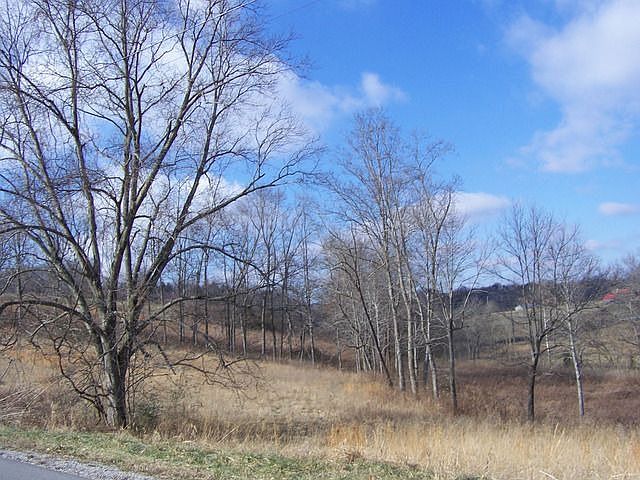 2nd image of 1948 Bear Creek Pointe
