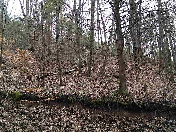2nd image of 98 Bueno Vista Rd Lot 98