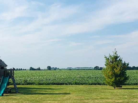Backyard - North view