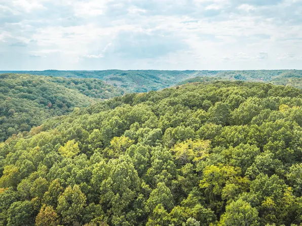 1190 Old Us Highway 160, Reeds Spring, MO 65737