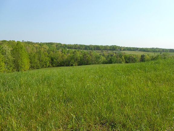 4th image of Nichol Creek Dr