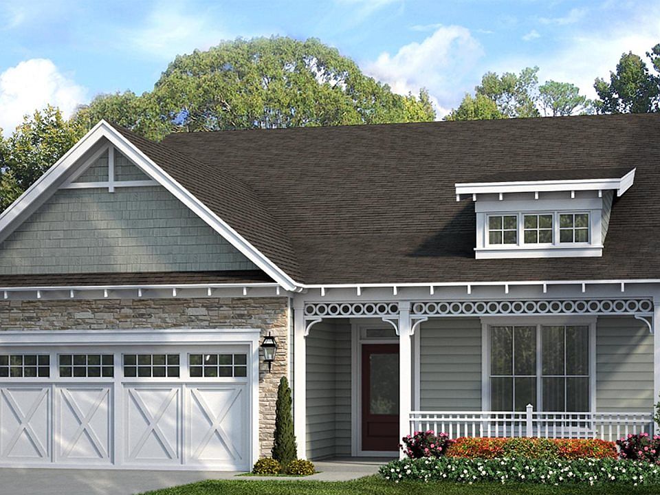 Fir Model Rendering shown for reference