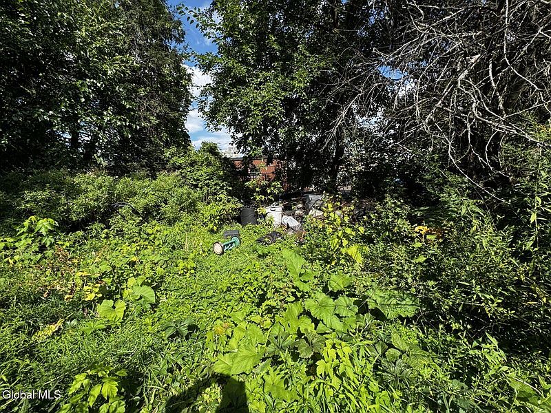 2nd image of 51 Slingerland Street