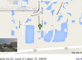 2818 Prairie Iris Dr, Land O Lakes, FL 34638