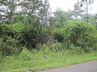 20th Ave LOT 119, Keaau, HI 96749