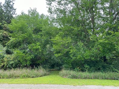 LOT 67 Bellflower Dr, Brooklyn, MI, 49230