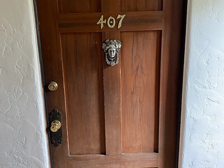 ORIGINAL STAINED BIRCH FRONT DOOR