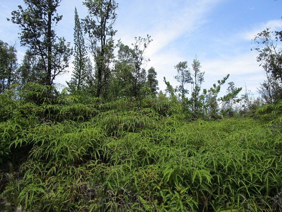 2nd image of Poouli Road Rd #10-lot 5662