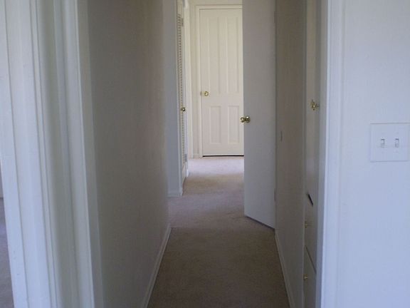 Fresh Paint and Carpet