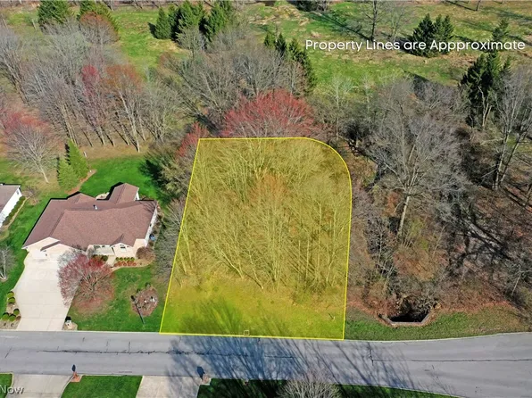 Saint Andrews Ct, Cortland, OH 44410