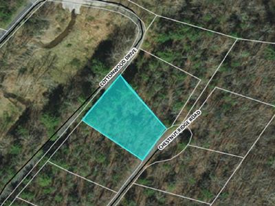 0 Chestnut Ridge Rd, Mount Jackson, VA, 22842