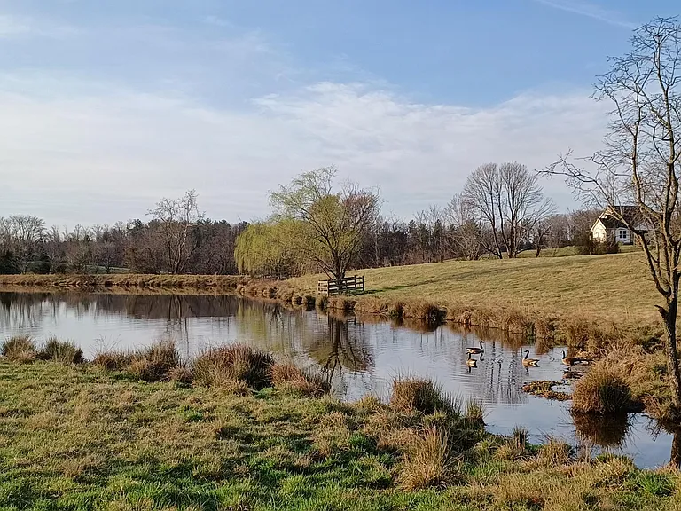 lake beside cottage in mid-March