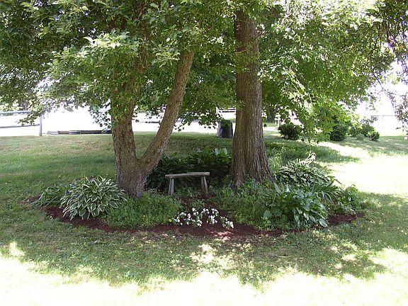 Shade garden