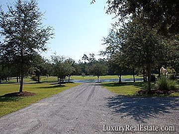 5th image of 507 Leatherwood Ln