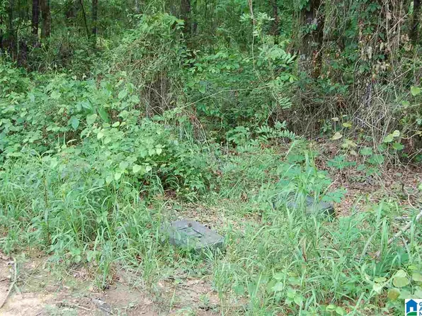 0 County Road 63 #1, Marbury, AL 36051