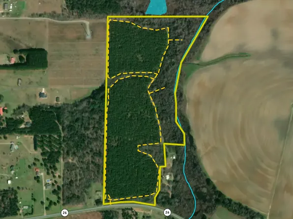 V/l Hwy #26, Hawkinsville, GA 31036