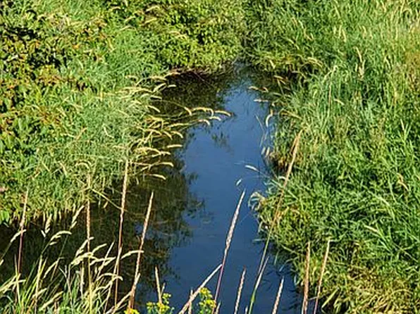 30321 N Monroe Rd, Deer Park, WA 99006