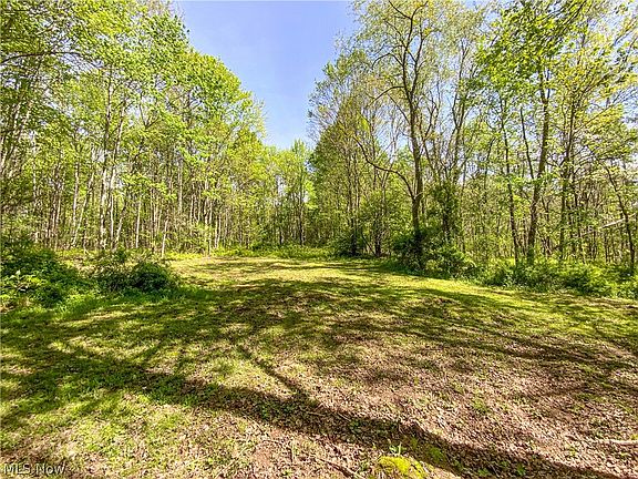 5th image of 0 Brushy Hill Rd