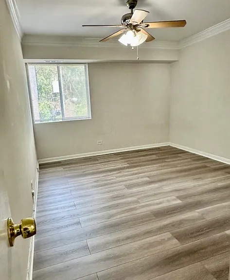1800 Jefferson Park Ave #91 — Photo 7