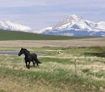 301 Middle Fork Rd, Dupuyer, MT, 59432