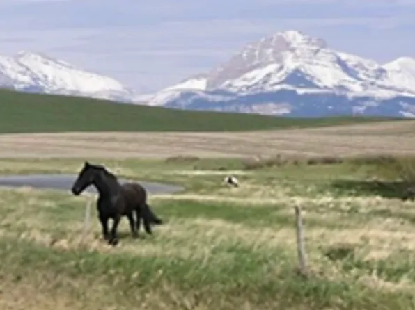 301 Middle Fork Rd, Dupuyer, MT 59432