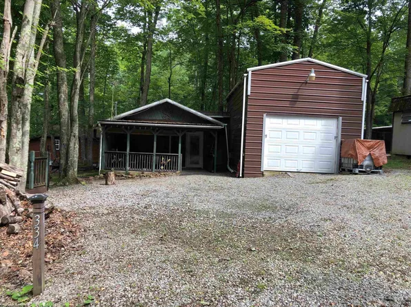 334 Mosquito Dr, Buckhannon, WV 26201