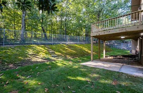 Backyard