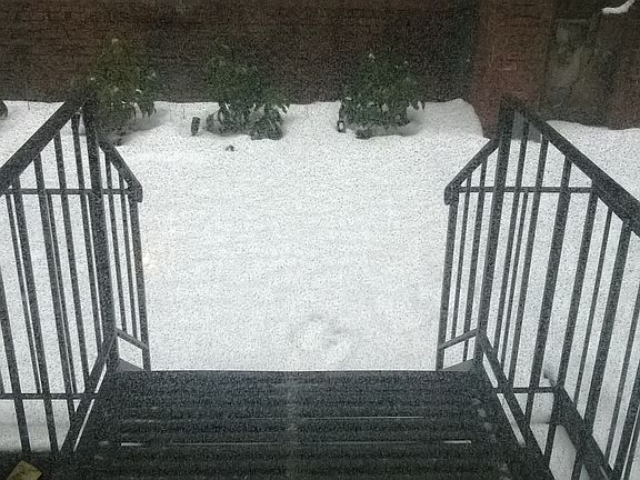 3rd image of 9 E 32nd St APT 1H