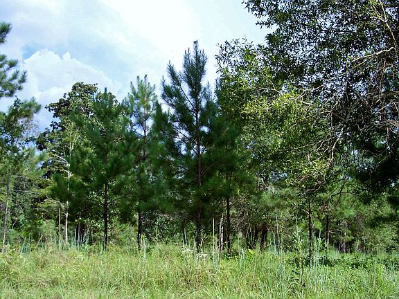 3rd image of CR 4515