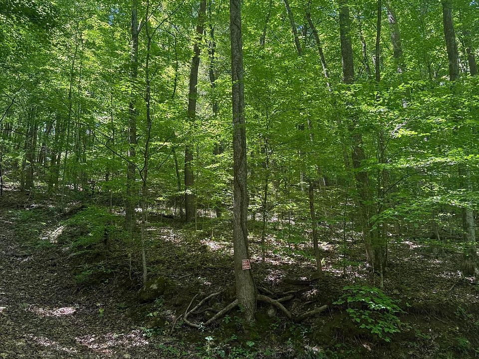 1st image of White Oak Ln