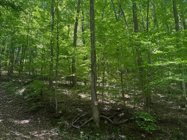 White Oak Ln, Caryville, TN 37714