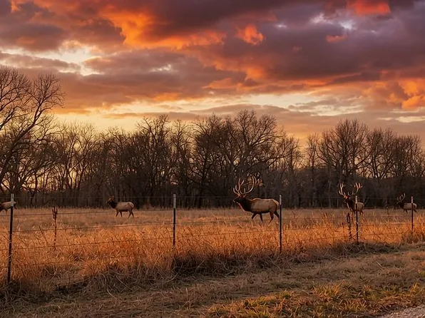 4276 Dead River Rd, Sulphur, OK 73086