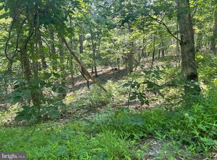 100 Snead Ln, Basye, VA 22810