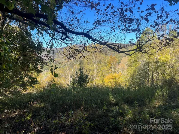0 Upper Brush Creek Rd, Marshall, NC 28753